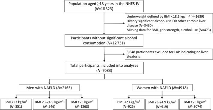 https://cdn.ncbi.nlm.nih.gov/pmc/blobs/b807/9530524/09c211d17288/JCSM-13-2393-g001.jpg