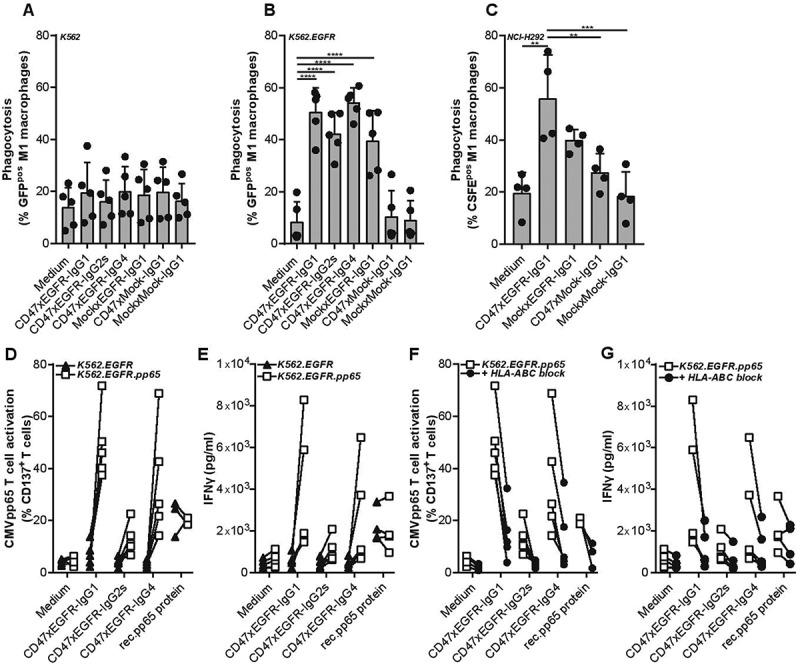 https://cdn.ncbi.nlm.nih.gov/pmc/blobs/b80a/7714490/8d01bf9ecda6/KONI_A_1824323_F0004_B.jpg