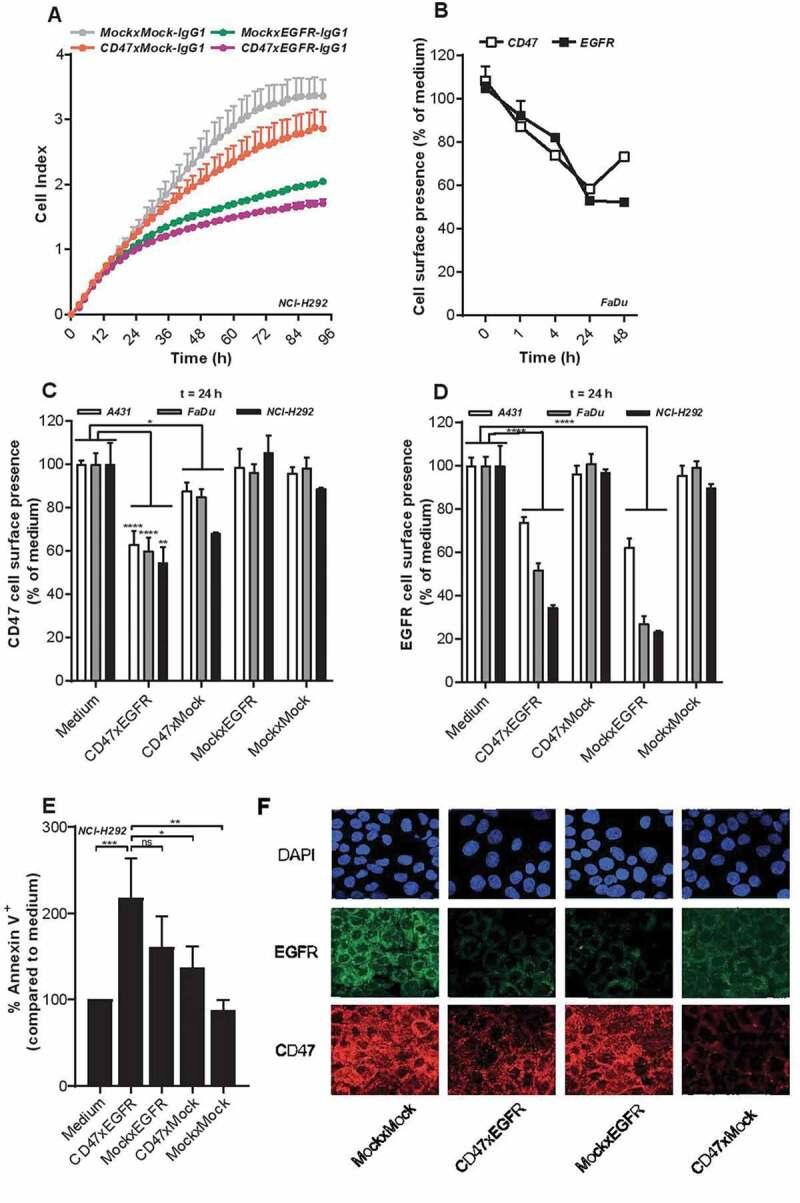 https://cdn.ncbi.nlm.nih.gov/pmc/blobs/b80a/7714490/eab3693ed573/KONI_A_1824323_F0002_OC.jpg