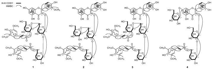 https://cdn.ncbi.nlm.nih.gov/pmc/blobs/b80b/6332256/a4434fd39384/molecules-20-13982-g002.jpg
