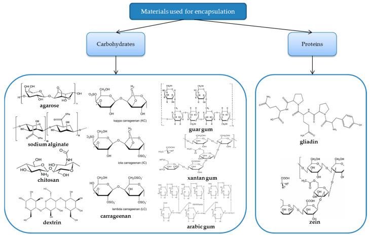 https://cdn.ncbi.nlm.nih.gov/pmc/blobs/b80e/11054478/f0040c75f6b6/polymers-16-01026-g001.jpg