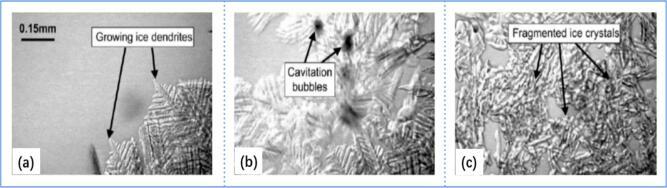 https://cdn.ncbi.nlm.nih.gov/pmc/blobs/b80f/11424954/84866a1a797a/gr11.jpg