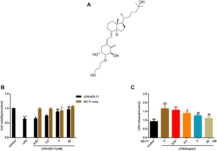 https://cdn.ncbi.nlm.nih.gov/pmc/blobs/b812/7671541/8673efd08fb8/DDDT-14-4901-g0002.jpg