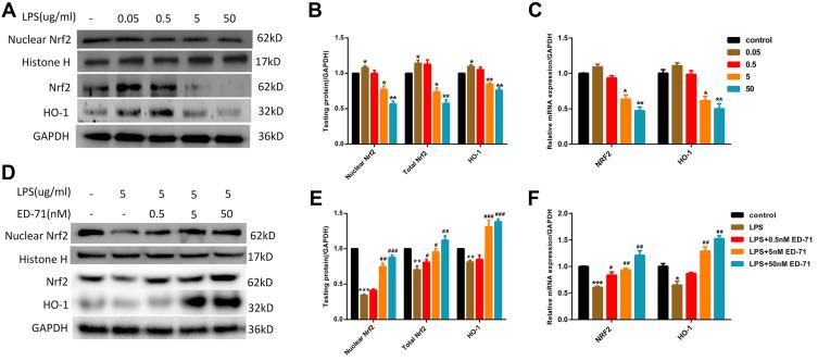 https://cdn.ncbi.nlm.nih.gov/pmc/blobs/b812/7671541/d701fdf9afff/DDDT-14-4901-g0004.jpg