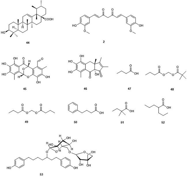 https://cdn.ncbi.nlm.nih.gov/pmc/blobs/b815/7438611/358f9b4ec582/fphar-11-00992-g006.jpg