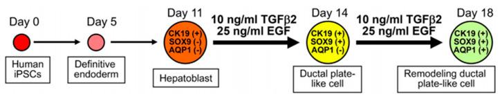 https://cdn.ncbi.nlm.nih.gov/pmc/blobs/b817/8658964/bc9b09f5ed8c/materials-14-07468-g003.jpg