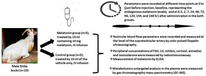 https://cdn.ncbi.nlm.nih.gov/pmc/blobs/b81a/10252098/a954fac8dbb8/animals-13-01794-g001.jpg