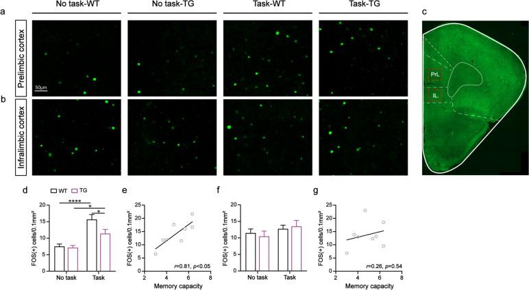 https://cdn.ncbi.nlm.nih.gov/pmc/blobs/b81a/10416384/41436b256b86/12915_2023_1674_Fig2_HTML.jpg