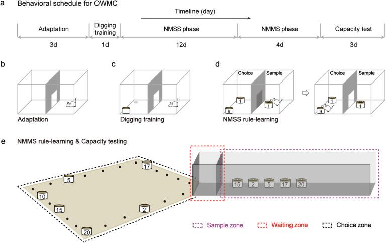 https://cdn.ncbi.nlm.nih.gov/pmc/blobs/b81a/10416384/560be6df7476/12915_2023_1674_Fig6_HTML.jpg