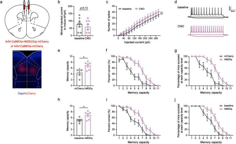 https://cdn.ncbi.nlm.nih.gov/pmc/blobs/b81a/10416384/d2cf6c964297/12915_2023_1674_Fig5_HTML.jpg