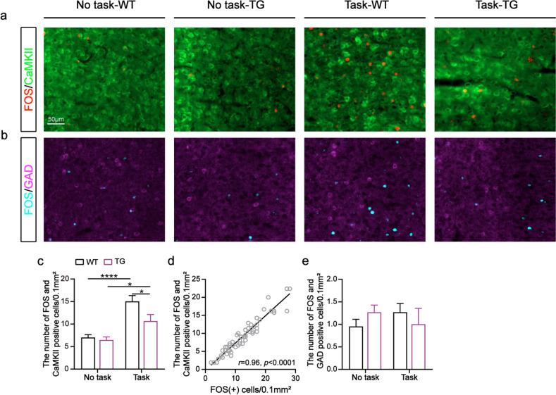 https://cdn.ncbi.nlm.nih.gov/pmc/blobs/b81a/10416384/f24c2ac3897b/12915_2023_1674_Fig3_HTML.jpg
