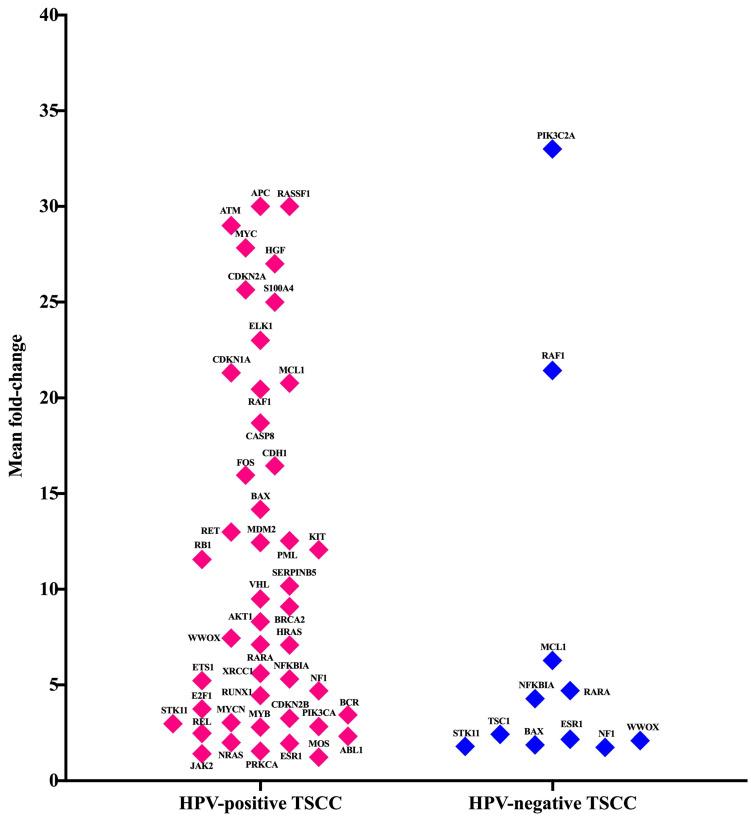 https://cdn.ncbi.nlm.nih.gov/pmc/blobs/b81b/10705173/10a5f52aa98d/cancers-15-05548-g003.jpg