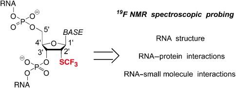 https://cdn.ncbi.nlm.nih.gov/pmc/blobs/b81b/3555429/fe4cec955140/anie0051-13080-f1.jpg