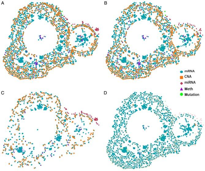https://cdn.ncbi.nlm.nih.gov/pmc/blobs/b81c/6254995/126f32aec3c0/IJO-54-01-0087-g00.jpg