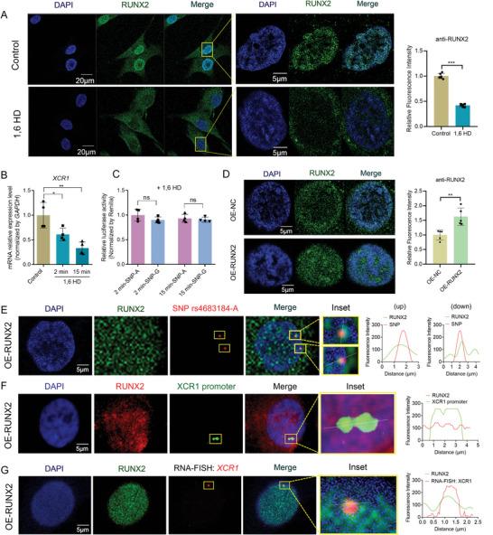 https://cdn.ncbi.nlm.nih.gov/pmc/blobs/b81d/11809430/0cb9144d5a30/ADVS-12-2413561-g006.jpg