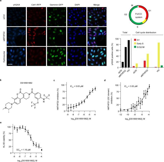 https://cdn.ncbi.nlm.nih.gov/pmc/blobs/b81e/8885417/c87c5ea53974/43018_2022_331_Fig7_ESM.jpg