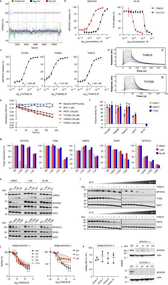 https://cdn.ncbi.nlm.nih.gov/pmc/blobs/b81e/8885417/eb41e1557b03/43018_2022_331_Fig8_ESM.jpg