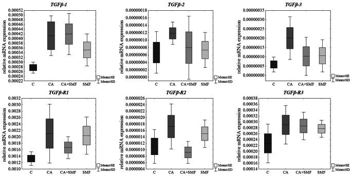 https://cdn.ncbi.nlm.nih.gov/pmc/blobs/b824/10147755/443da3825765/11033_2023_8336_Fig2_HTML.jpg