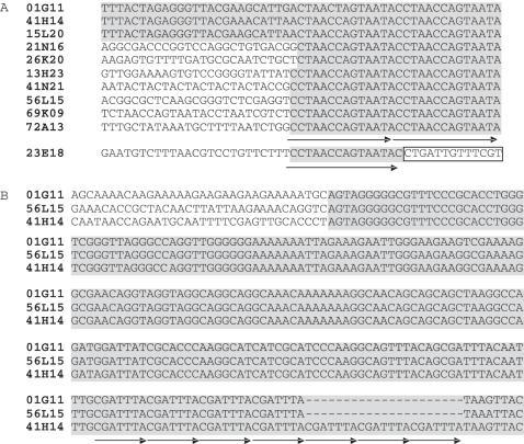 https://cdn.ncbi.nlm.nih.gov/pmc/blobs/b824/1636393/8109599328e4/gkl588f3.jpg