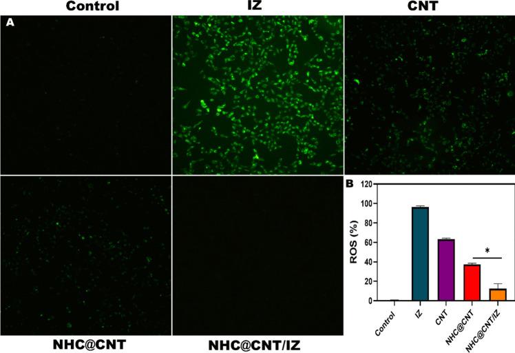 https://cdn.ncbi.nlm.nih.gov/pmc/blobs/b825/12202696/df87aac10ef3/253_2025_13529_Fig7_HTML.jpg