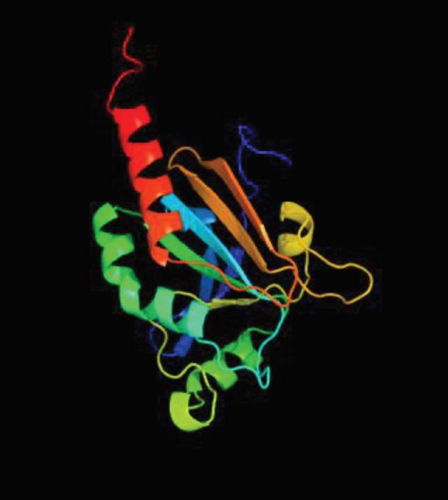 https://cdn.ncbi.nlm.nih.gov/pmc/blobs/b825/7350880/06c88f532181/turkjmedsci-49-392-fig005.jpg