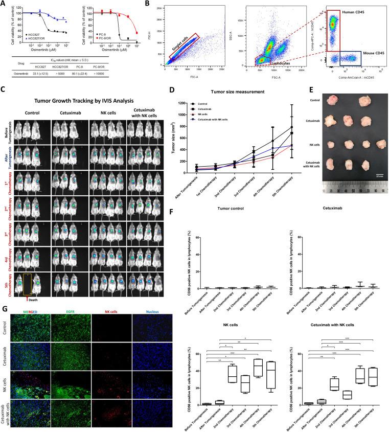 https://cdn.ncbi.nlm.nih.gov/pmc/blobs/b829/10982808/63d47f8631c8/jitc-2023-008585f03.jpg
