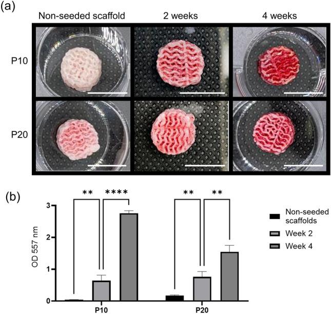 https://cdn.ncbi.nlm.nih.gov/pmc/blobs/b82a/11387746/30a1e1fd92cd/41598_2024_72073_Fig5_HTML.jpg
