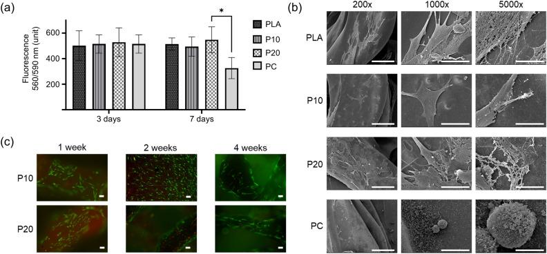 https://cdn.ncbi.nlm.nih.gov/pmc/blobs/b82a/11387746/354eed19b164/41598_2024_72073_Fig4_HTML.jpg