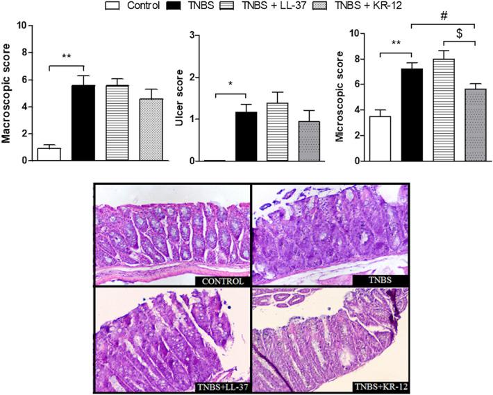 https://cdn.ncbi.nlm.nih.gov/pmc/blobs/b82b/7862075/71cb55fc9460/43440_2020_190_Fig2_HTML.jpg