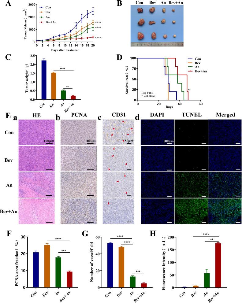 https://cdn.ncbi.nlm.nih.gov/pmc/blobs/b82e/10832611/11abdc247f16/gr4.jpg