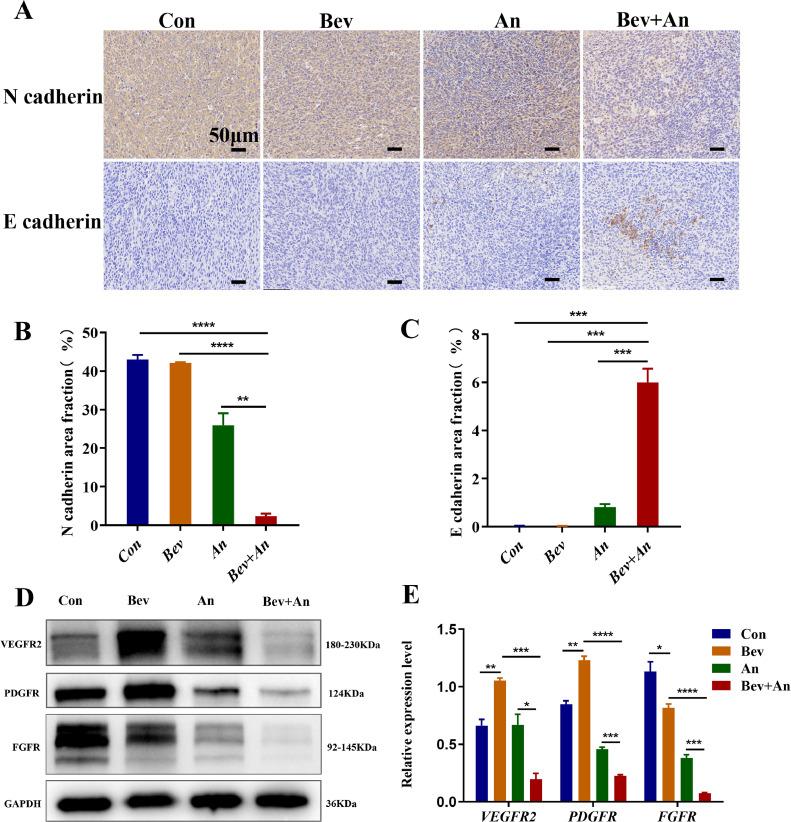https://cdn.ncbi.nlm.nih.gov/pmc/blobs/b82e/10832611/1726bf8323f6/gr6.jpg