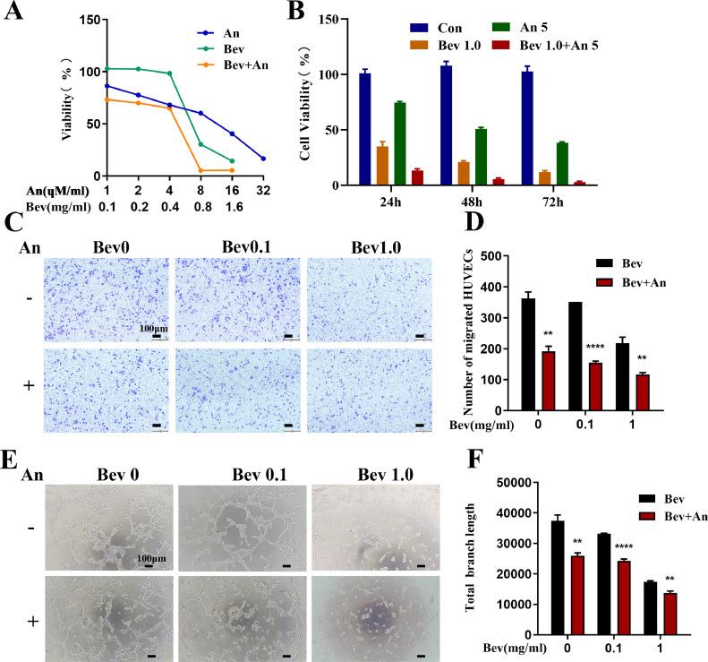 https://cdn.ncbi.nlm.nih.gov/pmc/blobs/b82e/10832611/6b4ca9f8ed51/gr3.jpg
