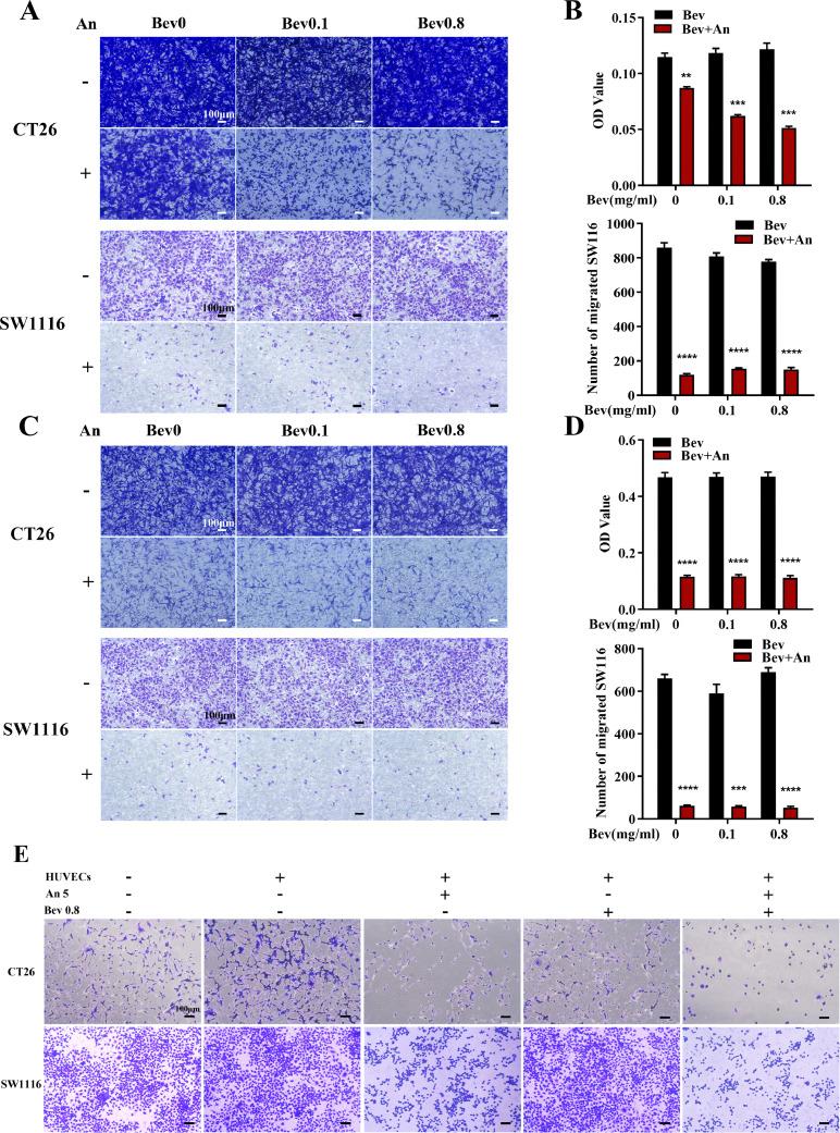 https://cdn.ncbi.nlm.nih.gov/pmc/blobs/b82e/10832611/6d3c891e5c21/gr2.jpg