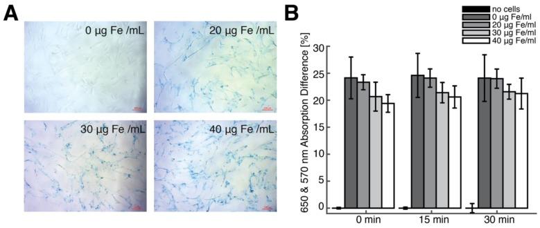 https://cdn.ncbi.nlm.nih.gov/pmc/blobs/b82f/4737718/535df7c74a20/thnov06p0291g005.jpg