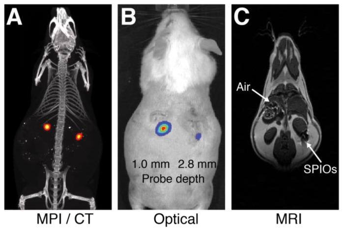 https://cdn.ncbi.nlm.nih.gov/pmc/blobs/b82f/4737718/571510040f54/thnov06p0291g001.jpg