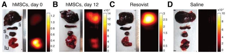 https://cdn.ncbi.nlm.nih.gov/pmc/blobs/b82f/4737718/d250d254e927/thnov06p0291g008.jpg