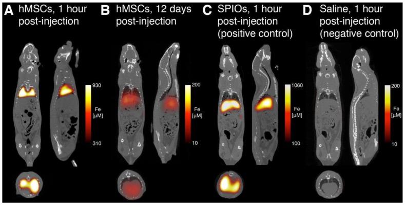 https://cdn.ncbi.nlm.nih.gov/pmc/blobs/b82f/4737718/d4e8850b5395/thnov06p0291g006.jpg