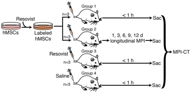 https://cdn.ncbi.nlm.nih.gov/pmc/blobs/b82f/4737718/f27da5bb1472/thnov06p0291g004.jpg