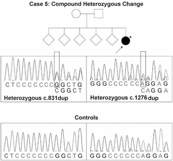 https://cdn.ncbi.nlm.nih.gov/pmc/blobs/b833/3179293/d2ae7e9dd898/jbmr0026-0666-f3.jpg