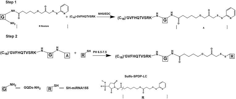https://cdn.ncbi.nlm.nih.gov/pmc/blobs/b834/10145394/1bf2c45069f9/IJN-18-2127-g0003.jpg