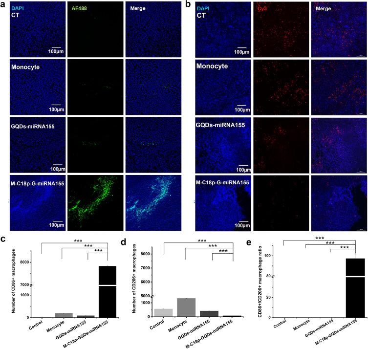 https://cdn.ncbi.nlm.nih.gov/pmc/blobs/b834/10145394/25ad320e9386/IJN-18-2127-g0007.jpg