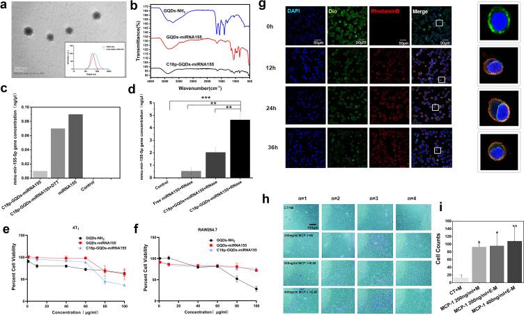 https://cdn.ncbi.nlm.nih.gov/pmc/blobs/b834/10145394/3635eaa70329/IJN-18-2127-g0004.jpg