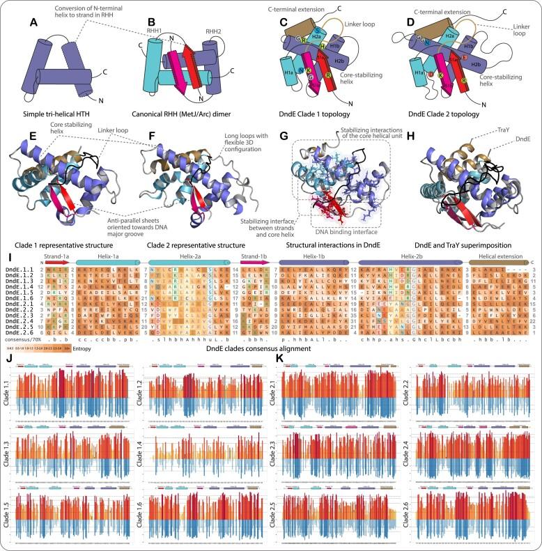 https://cdn.ncbi.nlm.nih.gov/pmc/blobs/b834/10853773/e45d9307980e/gkad1213fig2.jpg