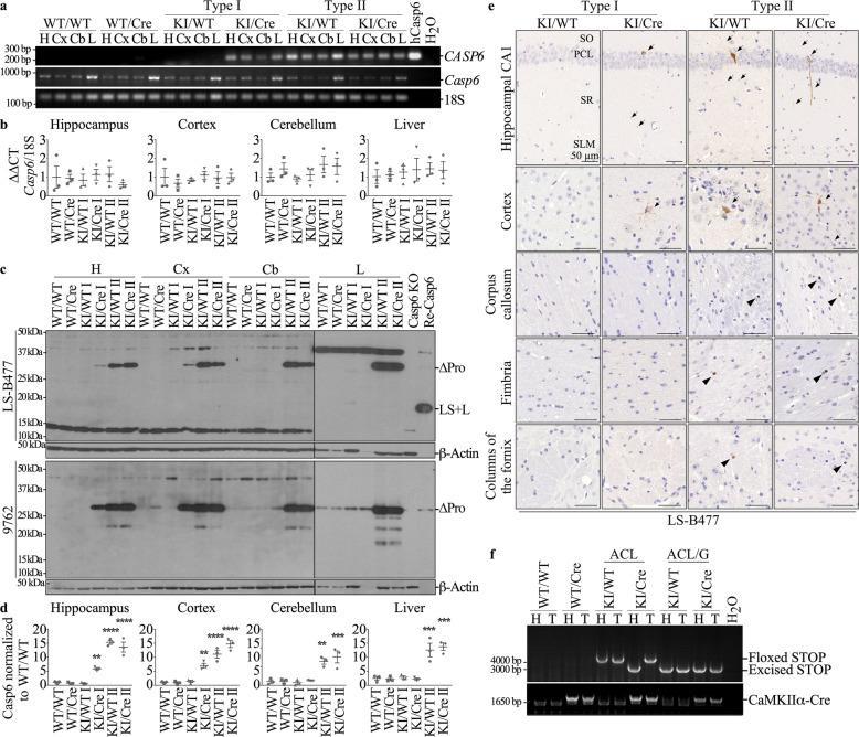https://cdn.ncbi.nlm.nih.gov/pmc/blobs/b834/6915996/8fd7c3b45d4b/40478_2019_856_Fig1_HTML.jpg