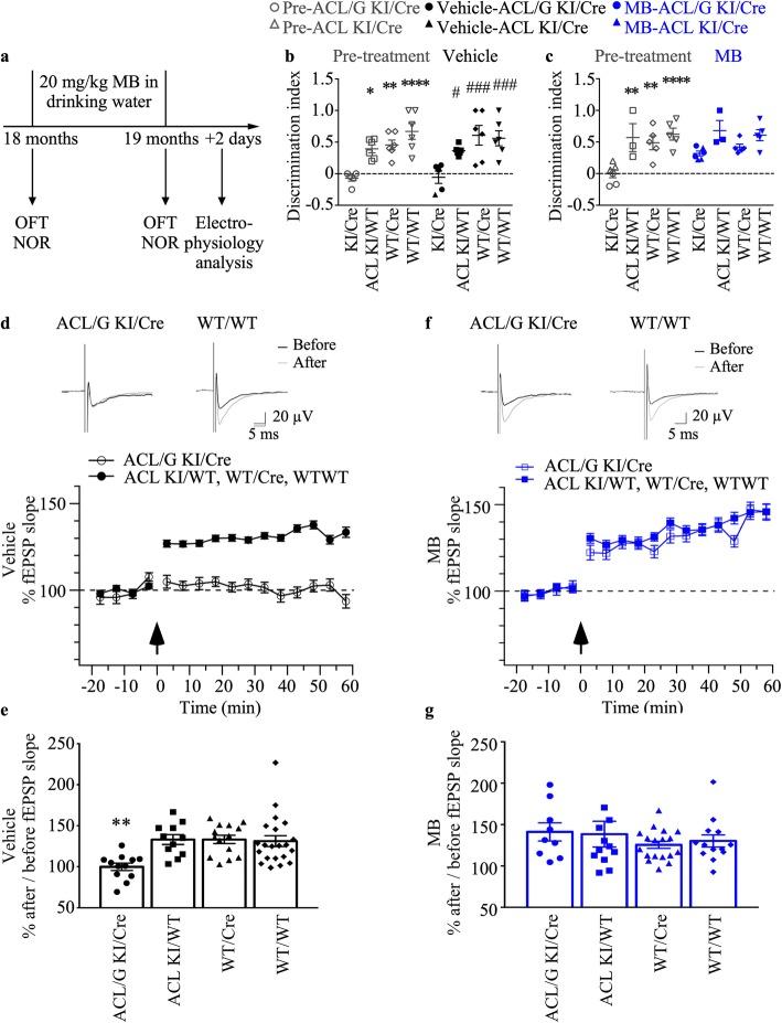 https://cdn.ncbi.nlm.nih.gov/pmc/blobs/b834/6915996/91155d837679/40478_2019_856_Fig3_HTML.jpg