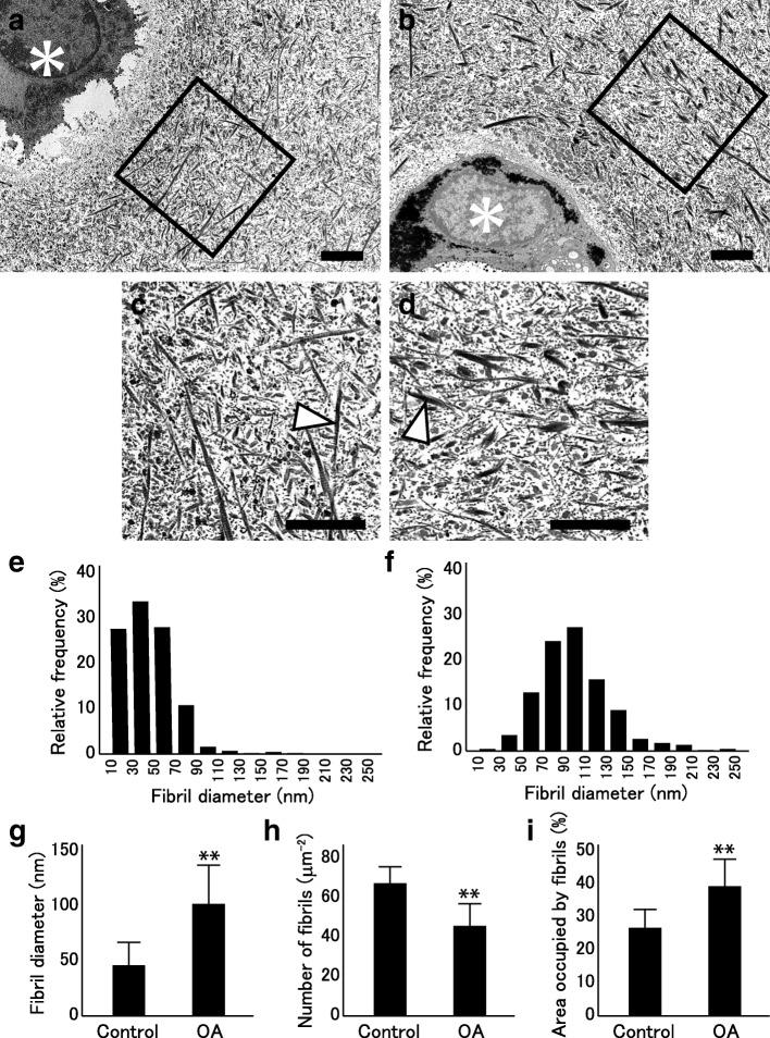 https://cdn.ncbi.nlm.nih.gov/pmc/blobs/b835/6525975/7c47ba664988/12891_2019_2596_Fig5_HTML.jpg