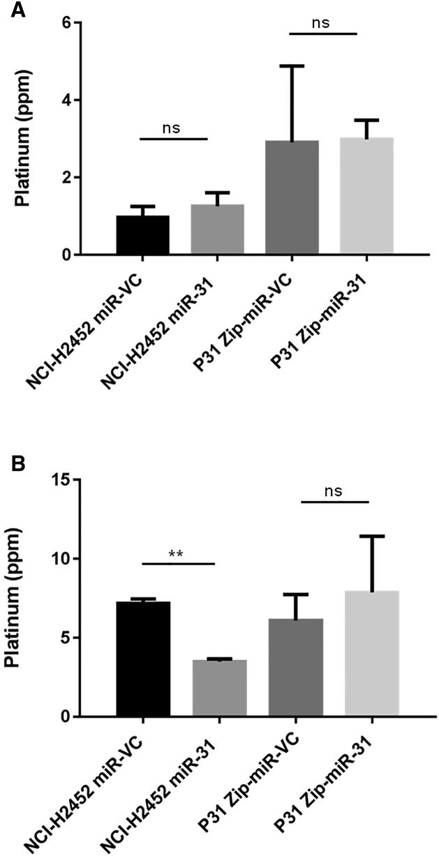 https://cdn.ncbi.nlm.nih.gov/pmc/blobs/b837/5537169/772a11bc45e4/gr5.jpg
