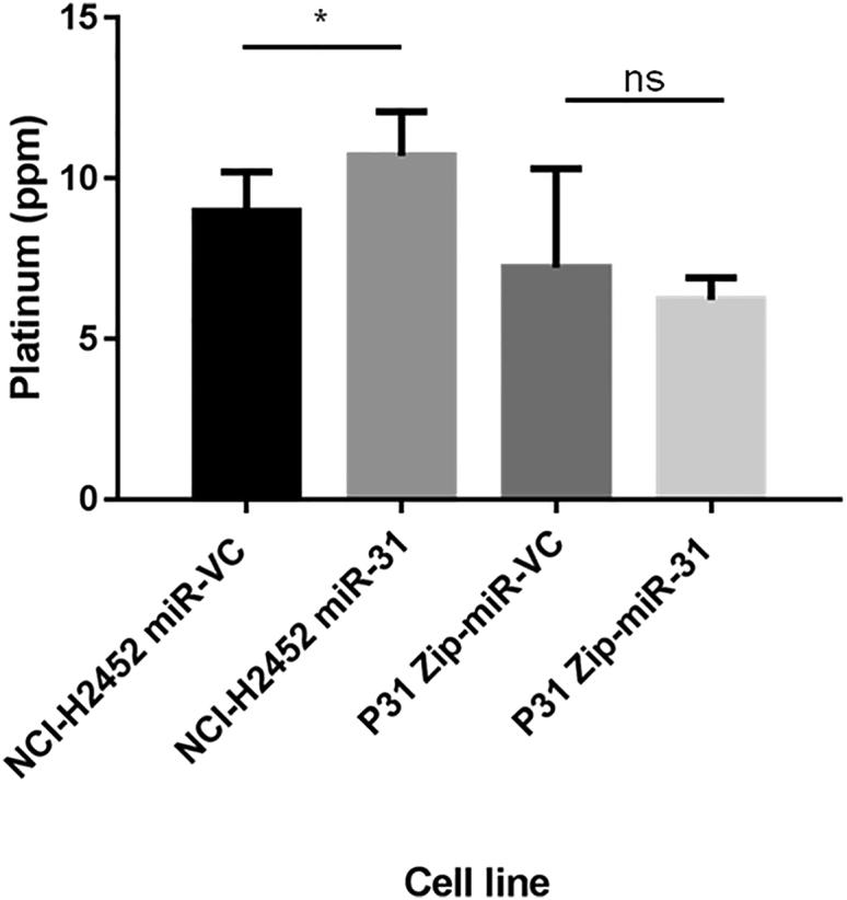 https://cdn.ncbi.nlm.nih.gov/pmc/blobs/b837/5537169/a0a499f1e0d6/gr3.jpg