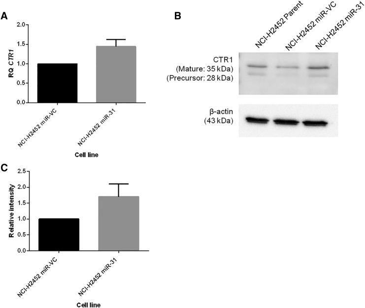 https://cdn.ncbi.nlm.nih.gov/pmc/blobs/b837/5537169/b988f06e1693/gr4.jpg