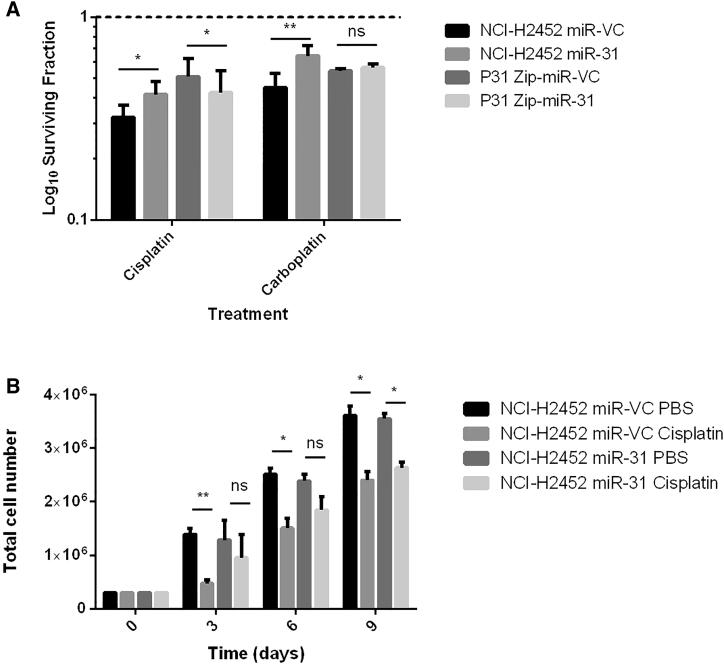 https://cdn.ncbi.nlm.nih.gov/pmc/blobs/b837/5537169/e3e0b851c7b1/gr1.jpg